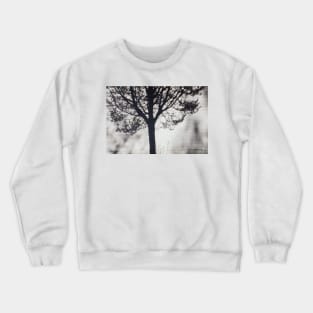 Shadow of Tree on White Brick Wall Crewneck Sweatshirt